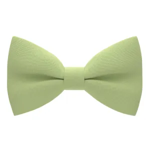 Pistache Bow Tie